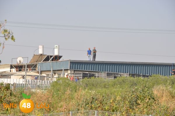 firecartoonsecnd506 (2).JPG